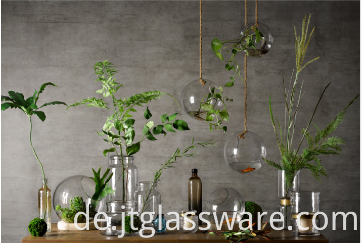 hanging glass terrariums for succulents and air plants